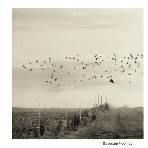 traversée inopinée